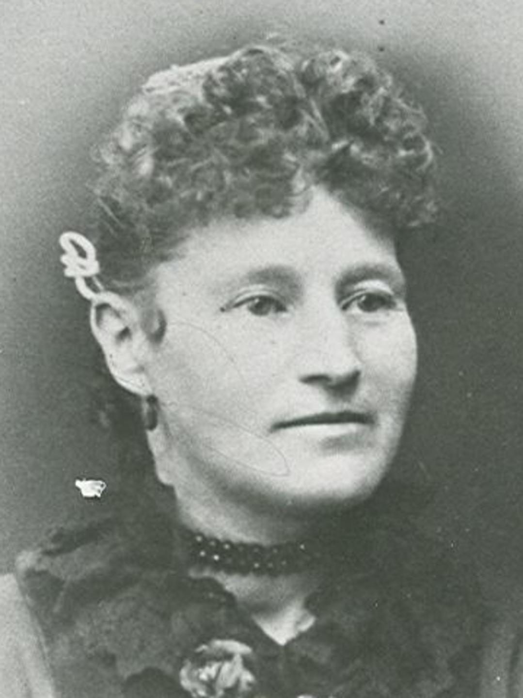 Isabella Davies (1852 - 1927) Profile